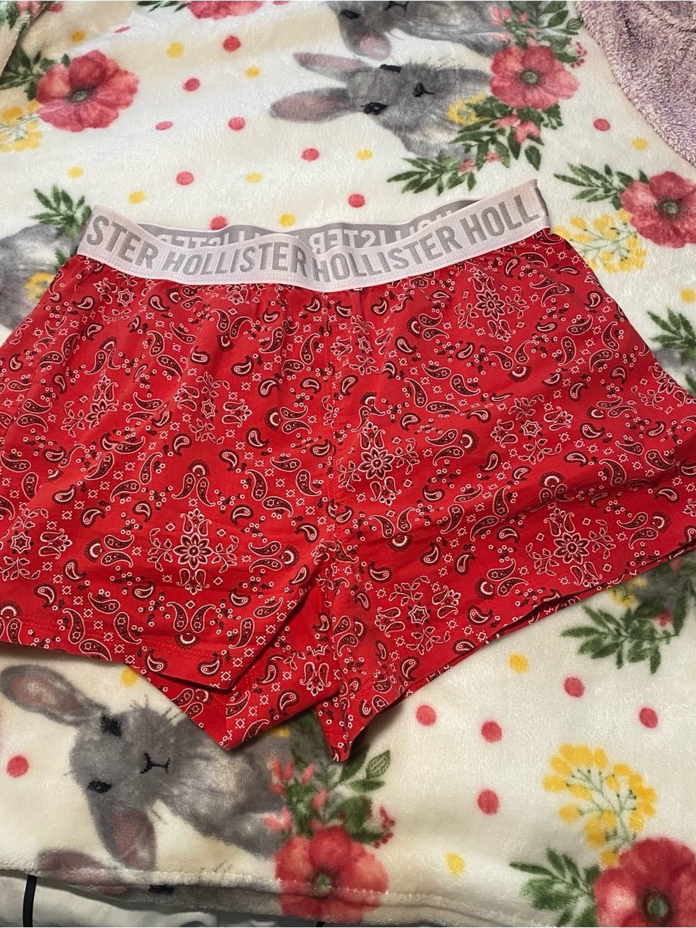 Hollister Red Paisley Lounge Shorts